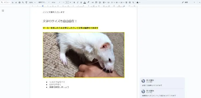 ペット副業　Googleドキュメント